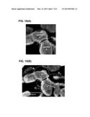 Solar Cell, Solar Cell Manufacturing Method, and Solar Cell Module diagram and image