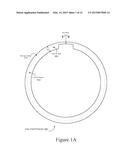 INNER TUBE PROTECTIVE DEVICE diagram and image