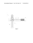 Boronated Biopolymer Crosslinking Agents and Methods Relating Thereto diagram and image