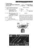 SYSTEM AND METHOD FOR PRESENTING LARGE DNA MOLECULES FOR ANALYSIS diagram and image