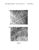 HYDROGEL-BASED DECONTAMINATION OF AQUEOUS SAMPLES CONTAINING NANOPARTICLES diagram and image