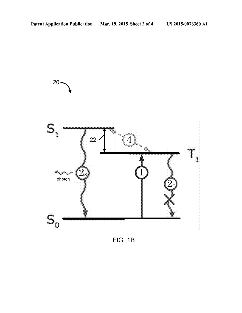 SCINTILLATOR AND RADIATION DETECTOR INCLUDING THE SCINTILLATOR - diagram, schematic, and image 03