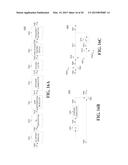 METHOD AND APPARATUS FOR CONSTANT ENVELOPE MODULATION diagram and image