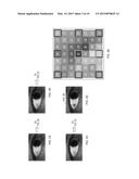 TEMPLATE UPDATE FOR BIOMETRIC AUTHENTICATION diagram and image