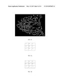 TEMPLATE UPDATE FOR BIOMETRIC AUTHENTICATION diagram and image