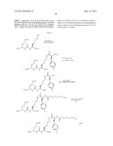 RADIOLABELED PROSTATE SPECIFIC MEMBRANE ANTIGEN INHIBITORS diagram and image