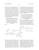 RADIOLABELED PROSTATE SPECIFIC MEMBRANE ANTIGEN INHIBITORS diagram and image