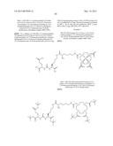 RADIOLABELED PROSTATE SPECIFIC MEMBRANE ANTIGEN INHIBITORS diagram and image