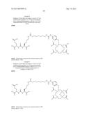 RADIOLABELED PROSTATE SPECIFIC MEMBRANE ANTIGEN INHIBITORS diagram and image