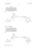 RADIOLABELED PROSTATE SPECIFIC MEMBRANE ANTIGEN INHIBITORS diagram and image