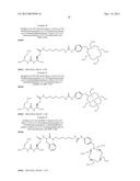 RADIOLABELED PROSTATE SPECIFIC MEMBRANE ANTIGEN INHIBITORS diagram and image