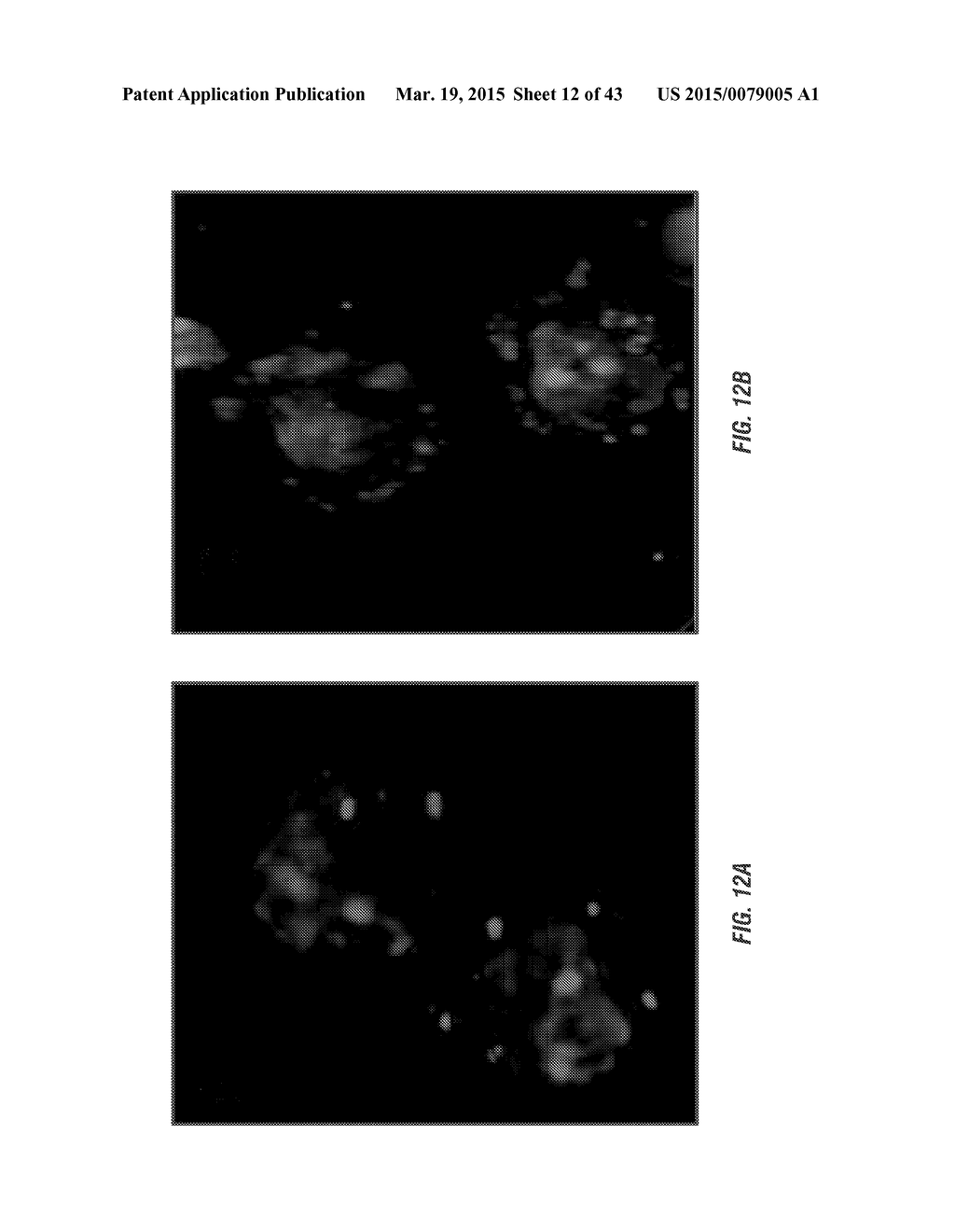 POLYMERIC NANOCARRIERS WITH LINEAR DUAL RESPONSE MECHANISM - diagram, schematic, and image 13