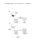 POLYMERIC NANOCARRIERS WITH LINEAR DUAL RESPONSE MECHANISM diagram and image