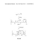 POLYMERIC NANOCARRIERS WITH LINEAR DUAL RESPONSE MECHANISM diagram and image