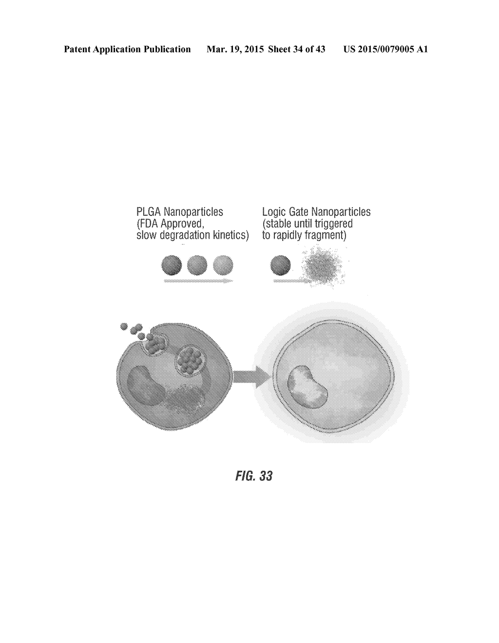 POLYMERIC NANOCARRIERS WITH LINEAR DUAL RESPONSE MECHANISM - diagram, schematic, and image 35