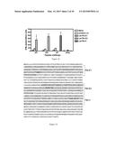 COMPOSITIONS COMPRISING ANGIOGENIC FACTORS AND METHODS OF USE THEREOF diagram and image