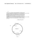 COMPOSITIONS COMPRISING ANGIOGENIC FACTORS AND METHODS OF USE THEREOF diagram and image