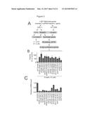 Compounds, Compositions, and Methods  For Modulating Ferroptosis and     Treating Excitotoxic Disorders diagram and image