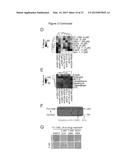 Compounds, Compositions, and Methods  For Modulating Ferroptosis and     Treating Excitotoxic Disorders diagram and image