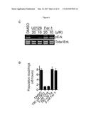 Compounds, Compositions, and Methods  For Modulating Ferroptosis and     Treating Excitotoxic Disorders diagram and image