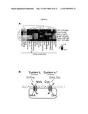 Compounds, Compositions, and Methods  For Modulating Ferroptosis and     Treating Excitotoxic Disorders diagram and image