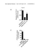 Compounds, Compositions, and Methods  For Modulating Ferroptosis and     Treating Excitotoxic Disorders diagram and image