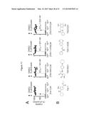 Compounds, Compositions, and Methods  For Modulating Ferroptosis and     Treating Excitotoxic Disorders diagram and image