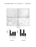 PROBIOTIC BACTERIA diagram and image