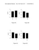 PROBIOTIC BACTERIA diagram and image