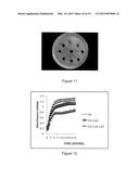 PROBIOTIC BACTERIA diagram and image