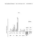 OCULAR THERAPEUTICS USING EMBRYONIC STEM CELL MICROVESICLES diagram and image