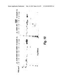 HYPERGLYCOSYLATED BINDING POLYPEPTIDES diagram and image