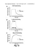 HYPERGLYCOSYLATED BINDING POLYPEPTIDES diagram and image