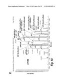 HYPERGLYCOSYLATED BINDING POLYPEPTIDES diagram and image