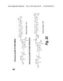 HYPERGLYCOSYLATED BINDING POLYPEPTIDES diagram and image