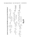 HYPERGLYCOSYLATED BINDING POLYPEPTIDES diagram and image