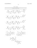 HYPERGLYCOSYLATED BINDING POLYPEPTIDES diagram and image