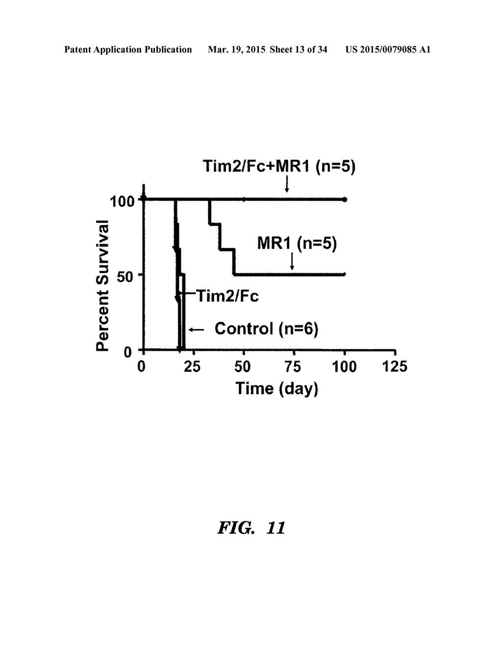 METHODS OF MODULATING IMMUNE RESPONSES BY MODULATING TIM-1, TIM-2 AND     TIM-4 FUNCTION - diagram, schematic, and image 14