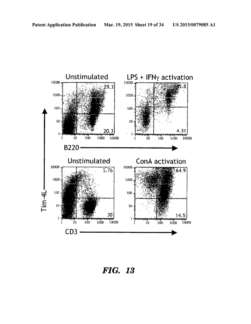 METHODS OF MODULATING IMMUNE RESPONSES BY MODULATING TIM-1, TIM-2 AND     TIM-4 FUNCTION - diagram, schematic, and image 20