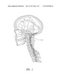 Methods for treatment of brain injury utilizing biologics diagram and image