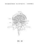 Methods for treatment of brain injury utilizing biologics diagram and image