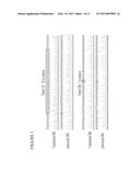 MUTANT CALRETICULIN FOR THE DIAGNOSIS OF MYELOID MALIGNANCIES diagram and image