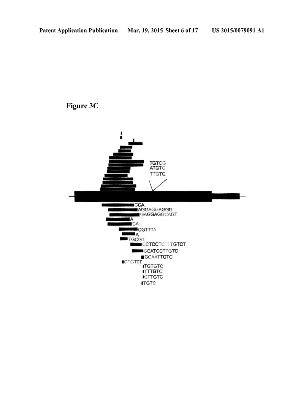 MUTANT CALRETICULIN FOR THE DIAGNOSIS OF MYELOID MALIGNANCIES - diagram, schematic, and image 07