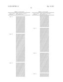 MUTANT CALRETICULIN FOR THE DIAGNOSIS OF MYELOID MALIGNANCIES diagram and image