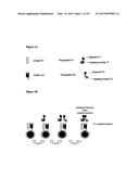 DUAL ANTIGEN-INDUCED BIPARTITE FUNCTIONAL COMPLEMENTATION diagram and image