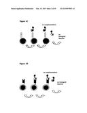 DUAL ANTIGEN-INDUCED BIPARTITE FUNCTIONAL COMPLEMENTATION diagram and image