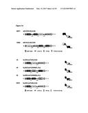 DUAL ANTIGEN-INDUCED BIPARTITE FUNCTIONAL COMPLEMENTATION diagram and image