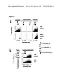 DUAL ANTIGEN-INDUCED BIPARTITE FUNCTIONAL COMPLEMENTATION diagram and image