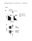 DUAL ANTIGEN-INDUCED BIPARTITE FUNCTIONAL COMPLEMENTATION diagram and image