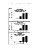 DUAL ANTIGEN-INDUCED BIPARTITE FUNCTIONAL COMPLEMENTATION diagram and image